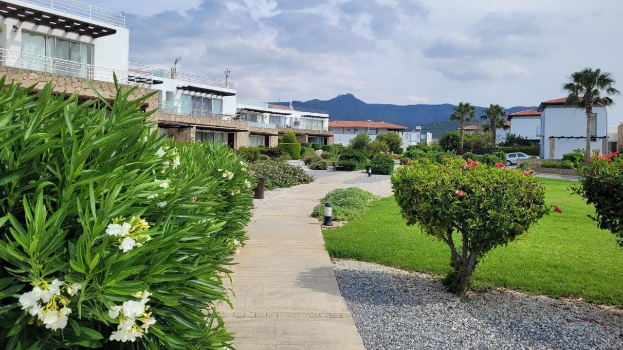 Sea And Mountain View Beachfront Penthouse Yali المظهر الخارجي الصورة